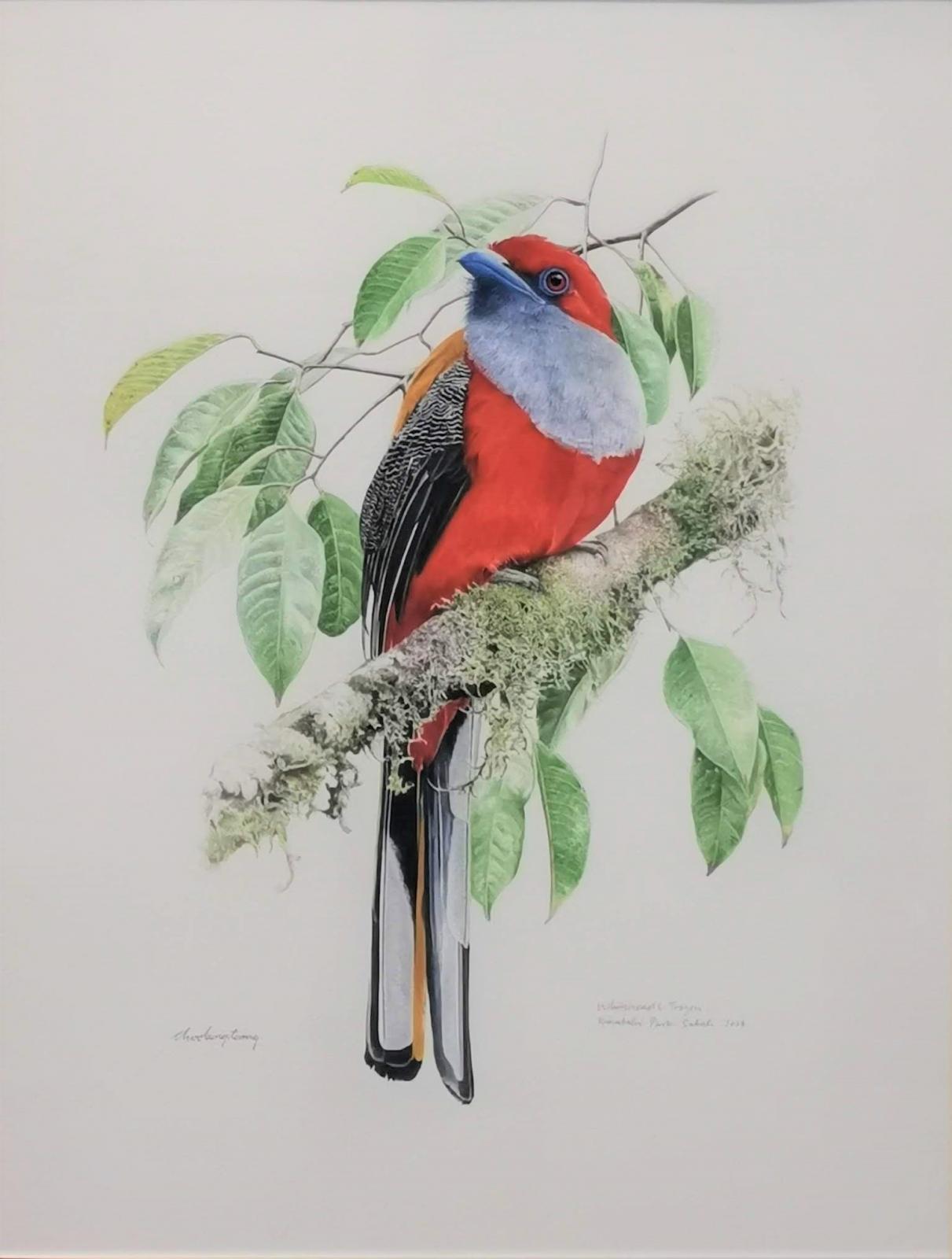 choo-beng-teong-la-galerie-du-monde